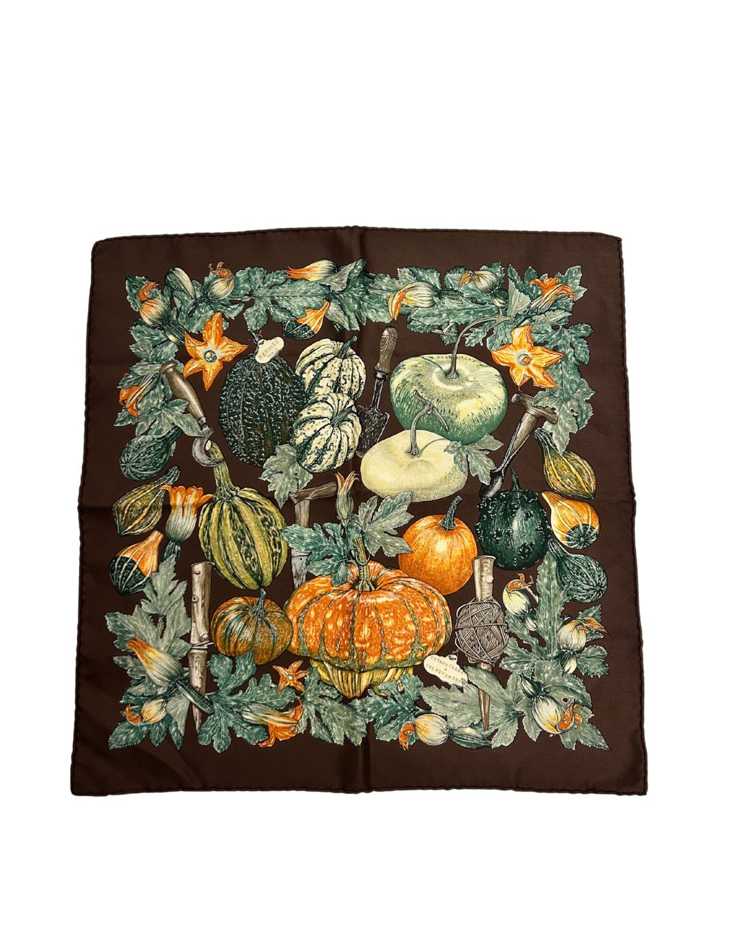 Hermès Bandana in Seta