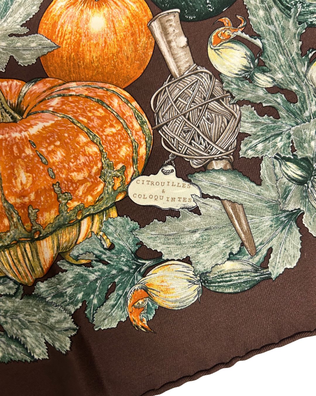 Hermès Bandana in Seta